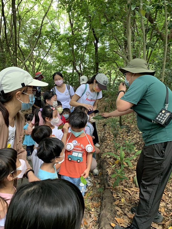 幼兒園：與植物作朋友(6/18)-圖片68