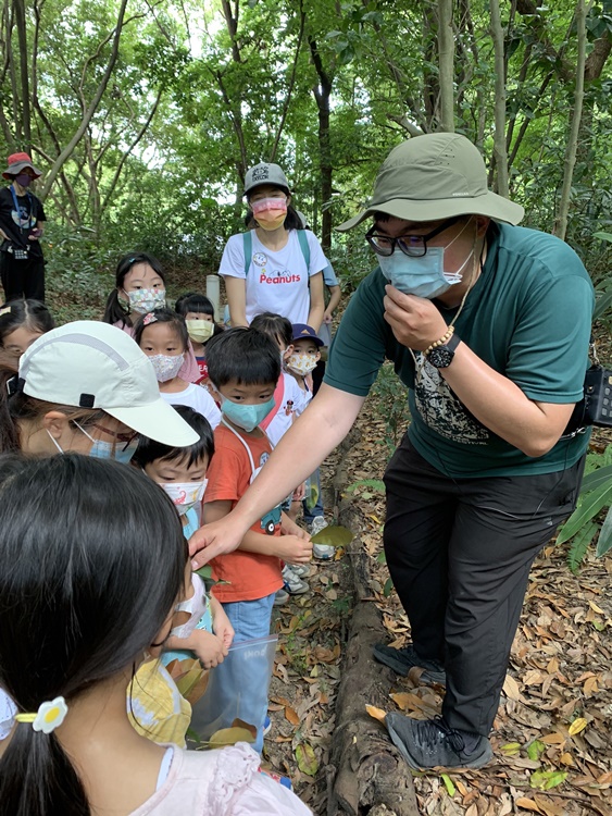 幼兒園：與植物作朋友(6/18)-圖片69