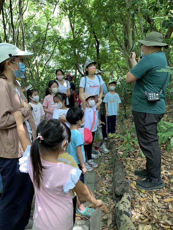 幼兒園：與植物作朋友(6/18)-圖片71
