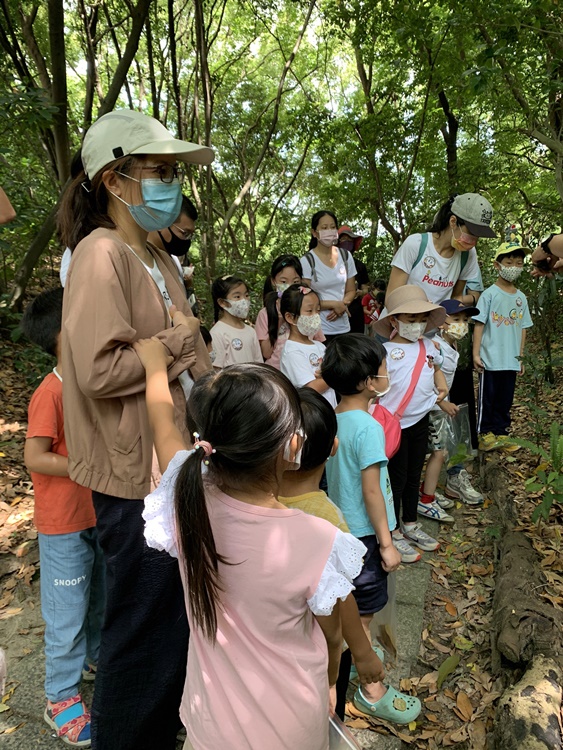 幼兒園：與植物作朋友(6/18)-圖片72