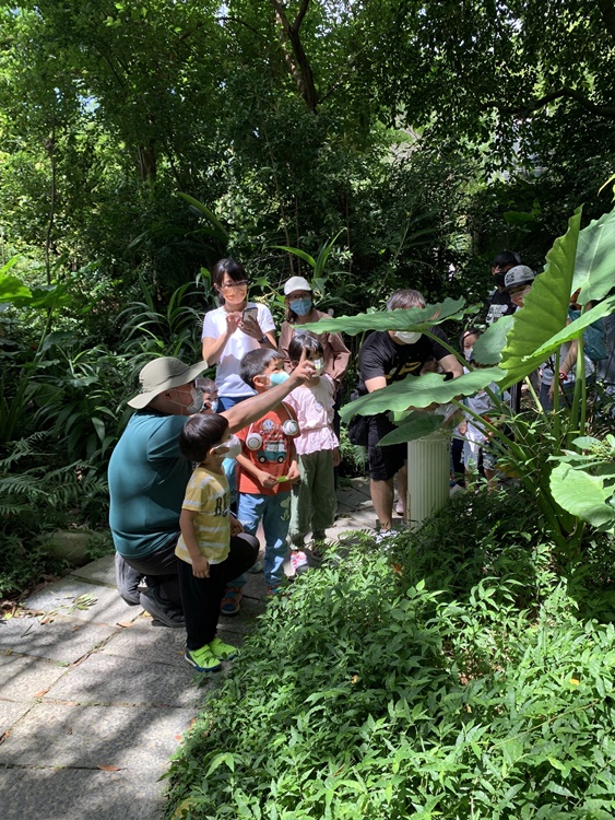 幼兒園：與植物作朋友(6/18)-圖片74