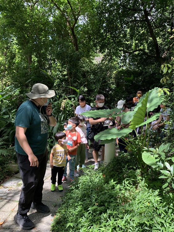 幼兒園：與植物作朋友(6/18)-圖片75