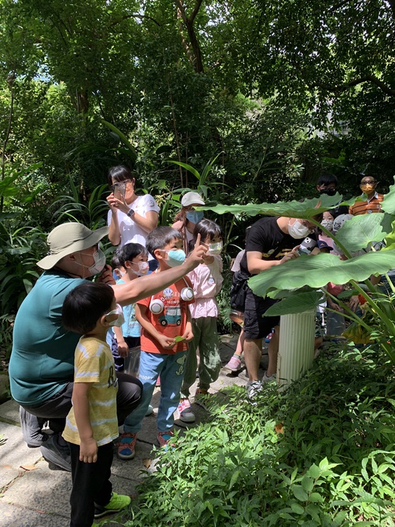 幼兒園：與植物作朋友(6/18)-圖片78