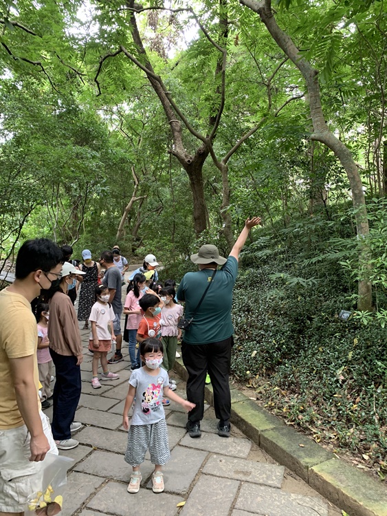 幼兒園：與植物作朋友(6/18)-圖片79