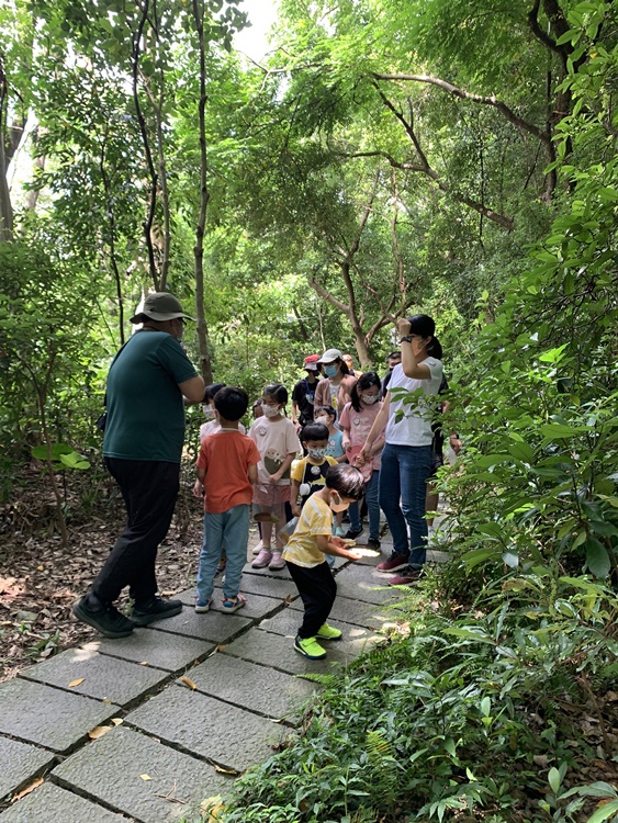 幼兒園：與植物作朋友(6/18)-圖片80