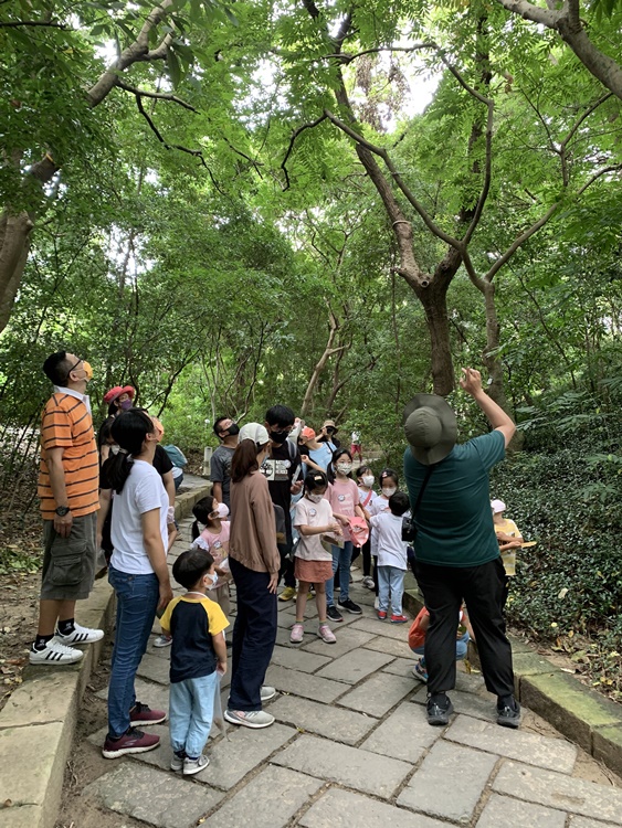 幼兒園：與植物作朋友(6/18)-圖片83