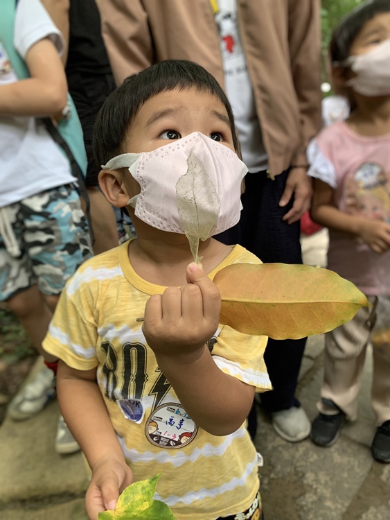 幼兒園：與植物作朋友(6/18)-圖片84