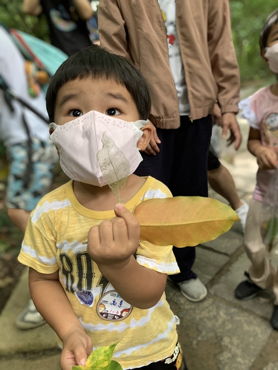 幼兒園：與植物作朋友(6/18)-圖片85