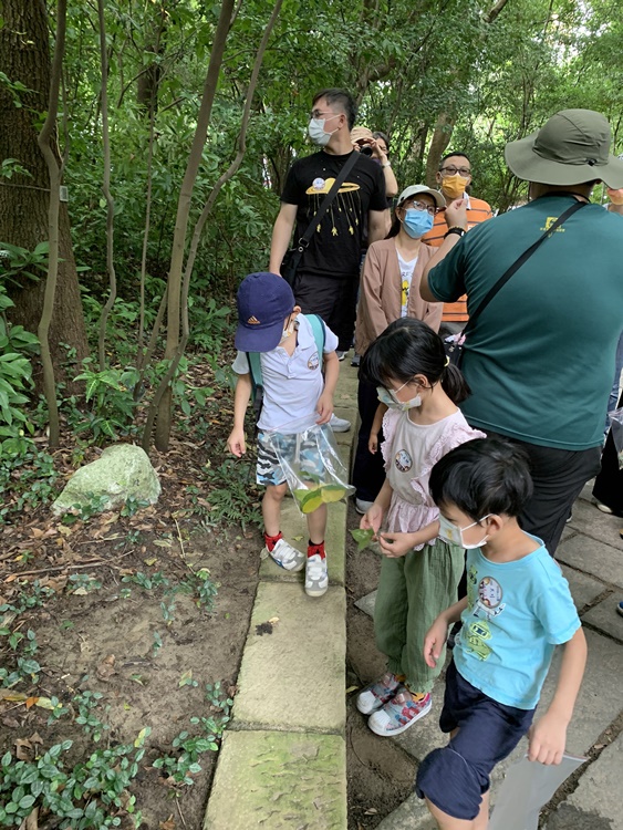 幼兒園：與植物作朋友(6/18)-圖片87