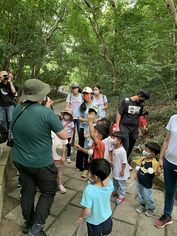 幼兒園：與植物作朋友(6/18)-圖片88