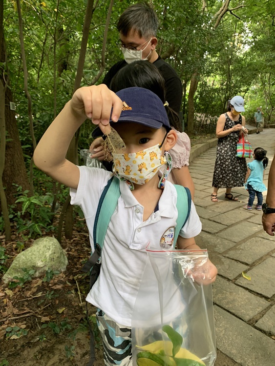 幼兒園：與植物作朋友(6/18)-圖片89