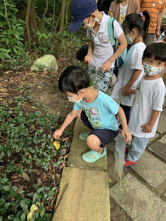 幼兒園：與植物作朋友(6/18)-圖片90