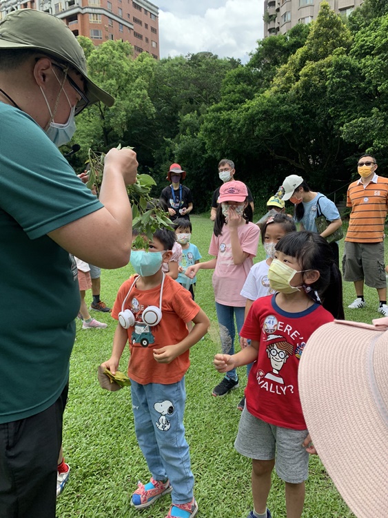 幼兒園：與植物作朋友(6/18)-圖片96