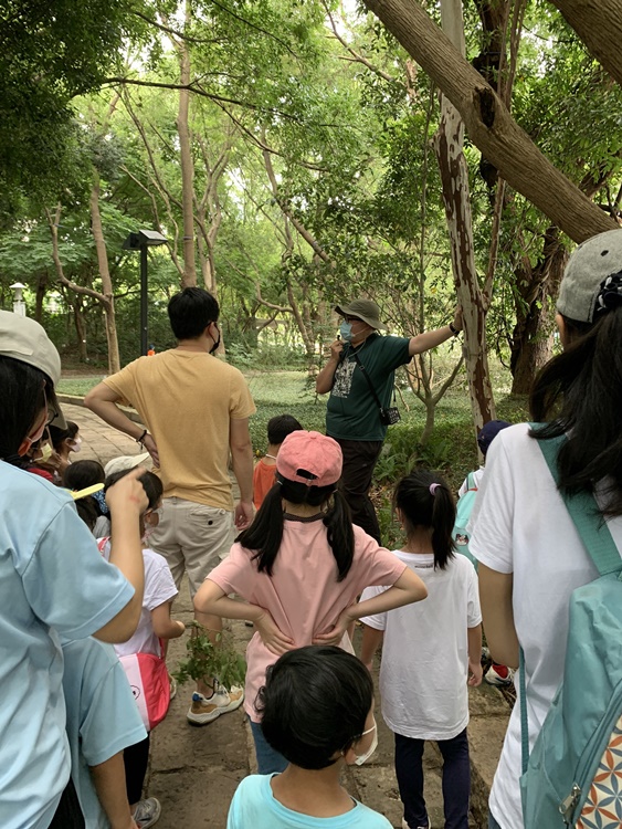 幼兒園：與植物作朋友(6/18)-圖片101