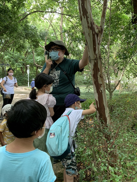 幼兒園：與植物作朋友(6/18)-圖片104