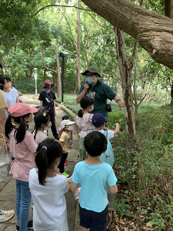幼兒園：與植物作朋友(6/18)-圖片105