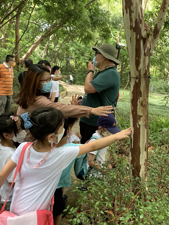 幼兒園：與植物作朋友(6/18)-圖片106