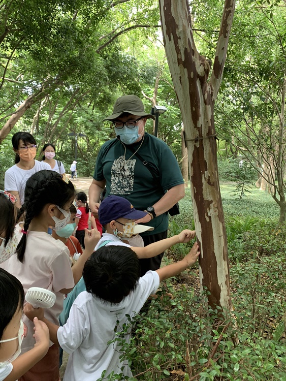 幼兒園：與植物作朋友(6/18)-圖片107