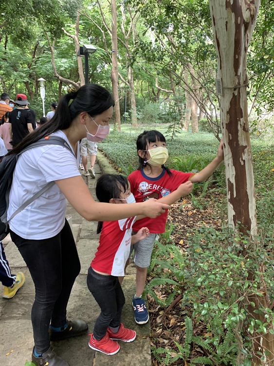 幼兒園：與植物作朋友(6/18)-圖片108
