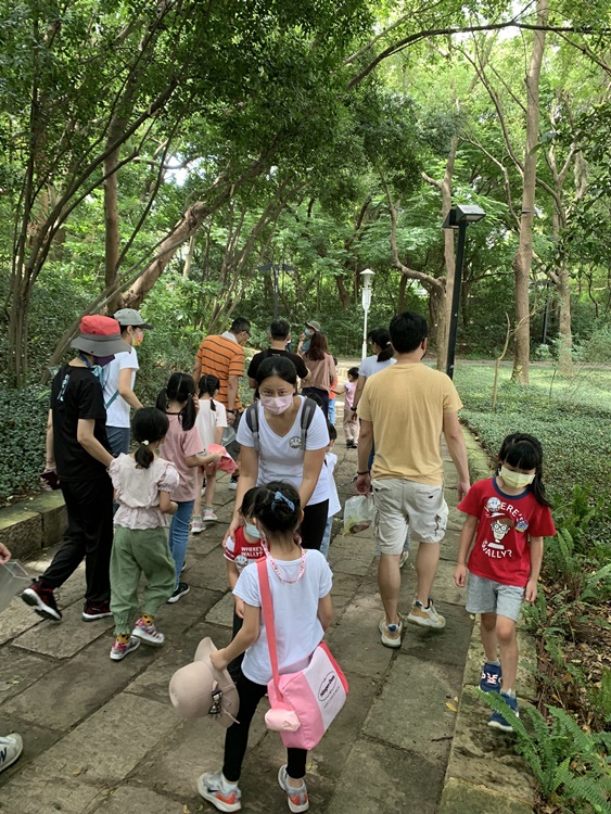 幼兒園：與植物作朋友(6/18)-圖片109