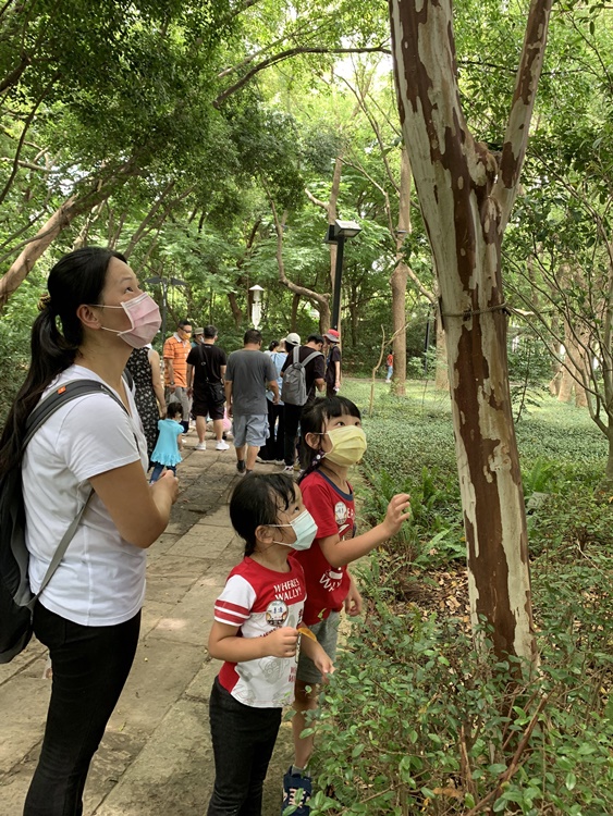 幼兒園：與植物作朋友(6/18)-圖片111