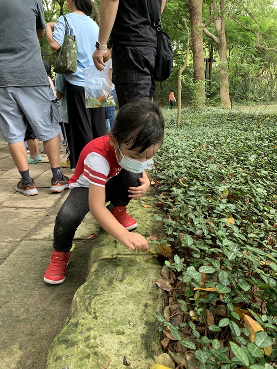 幼兒園：與植物作朋友(6/18)-圖片112