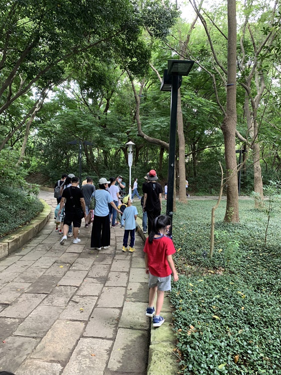 幼兒園：與植物作朋友(6/18)-圖片116