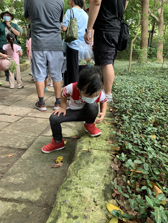 幼兒園：與植物作朋友(6/18)-圖片117