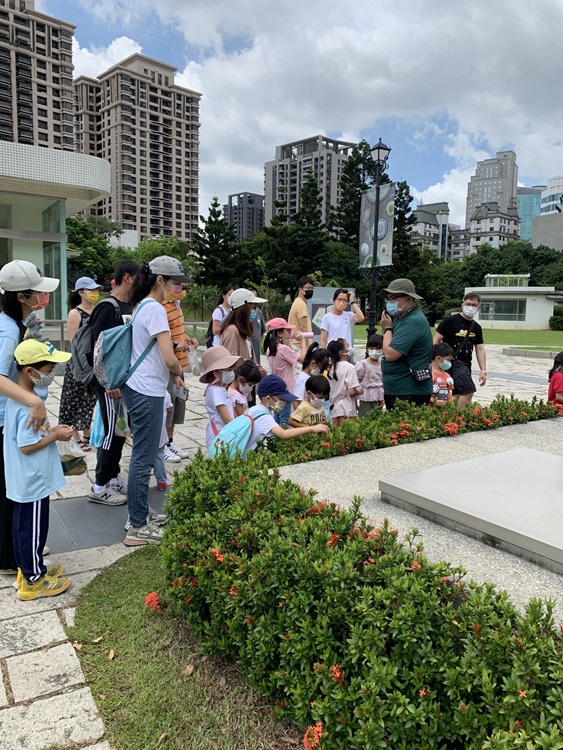 幼兒園：與植物作朋友(6/18)-圖片118