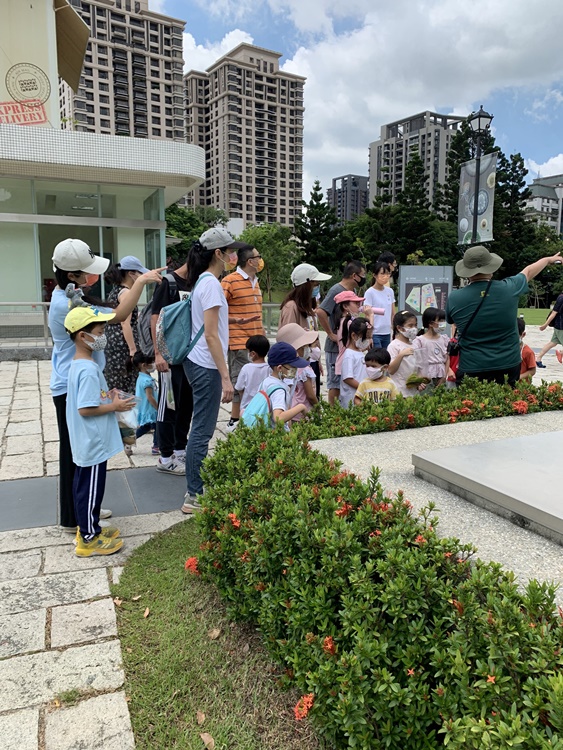 幼兒園：與植物作朋友(6/18)-圖片119