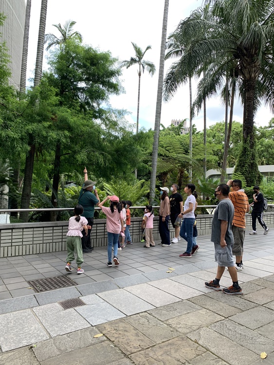 幼兒園：與植物作朋友(6/18)-圖片120