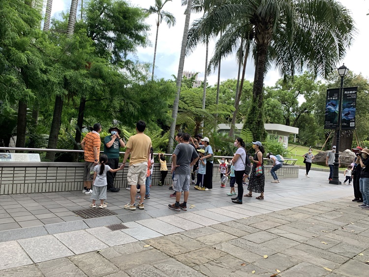 幼兒園：與植物作朋友(6/18)-圖片122