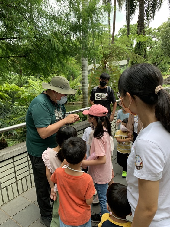 幼兒園：與植物作朋友(6/18)-圖片123