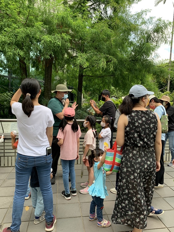 幼兒園：與植物作朋友(6/18)-圖片127