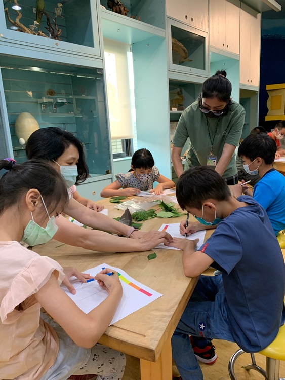 幼兒園：綠葉仙蹤(7/14-15)-圖片5