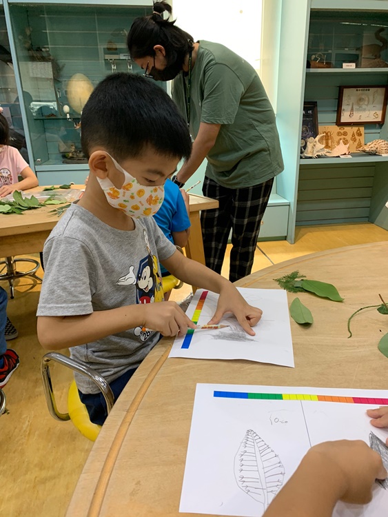 幼兒園：綠葉仙蹤(7/14-15)-圖片7