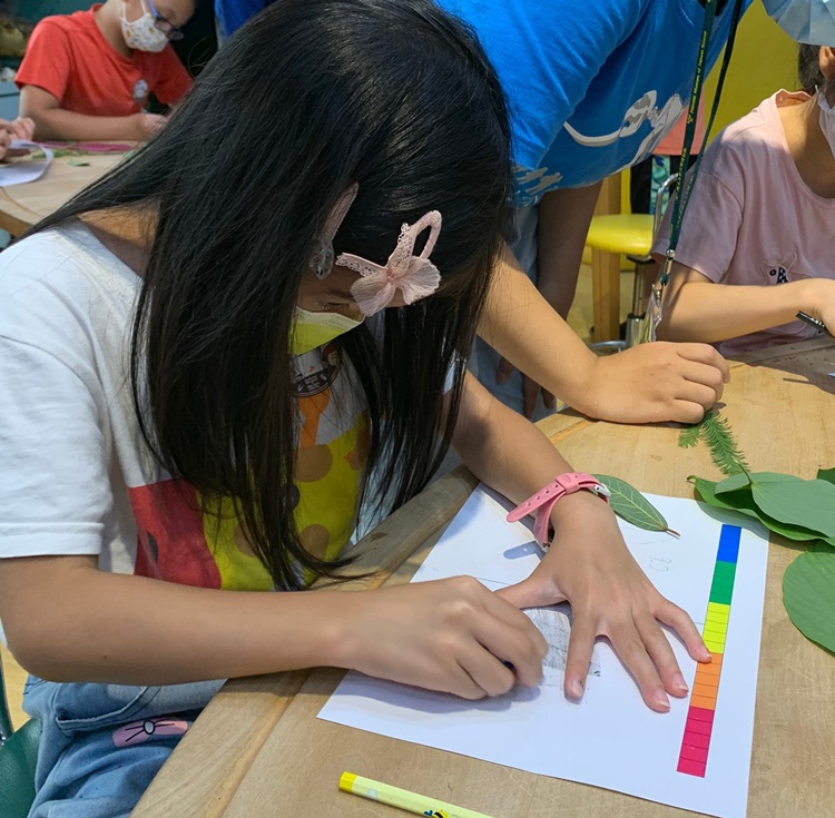 幼兒園：綠葉仙蹤(7/14-15)-圖片11