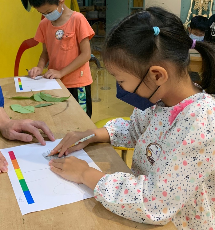 幼兒園：綠葉仙蹤(7/14-15)-圖片14