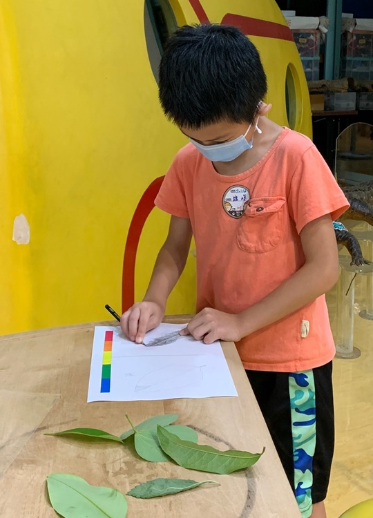 幼兒園：綠葉仙蹤(7/14-15)-圖片15