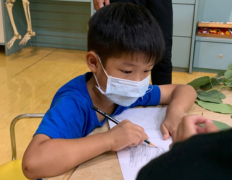 幼兒園：綠葉仙蹤(7/14-15)-圖片16