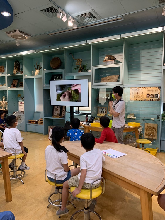 幼兒園：綠葉仙蹤(7/14-15)-圖片22