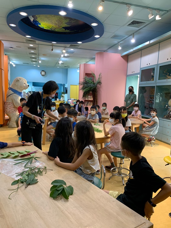 幼兒園：綠葉仙蹤(7/14-15)-圖片24