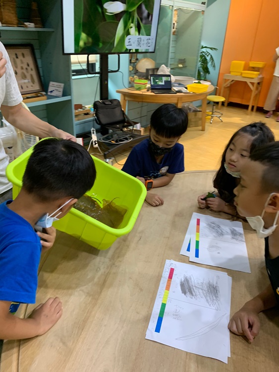 幼兒園：綠葉仙蹤(7/14-15)-圖片25
