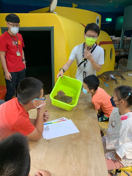 幼兒園：綠葉仙蹤(7/14-15)-圖片26