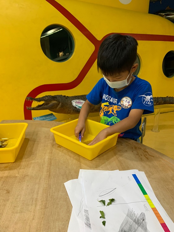 幼兒園：綠葉仙蹤(7/14-15)-圖片29