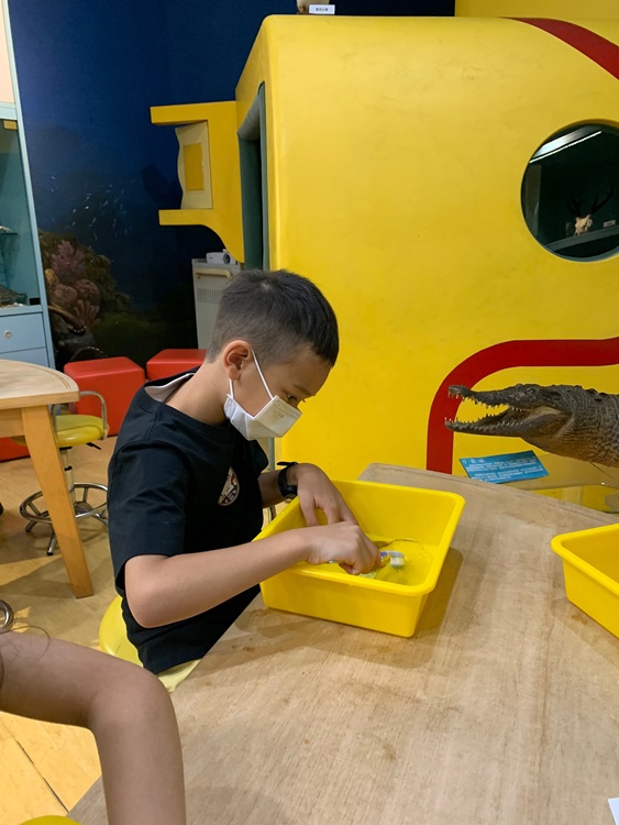 幼兒園：綠葉仙蹤(7/14-15)-圖片30