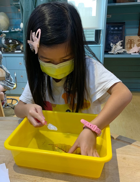 幼兒園：綠葉仙蹤(7/14-15)-圖片32