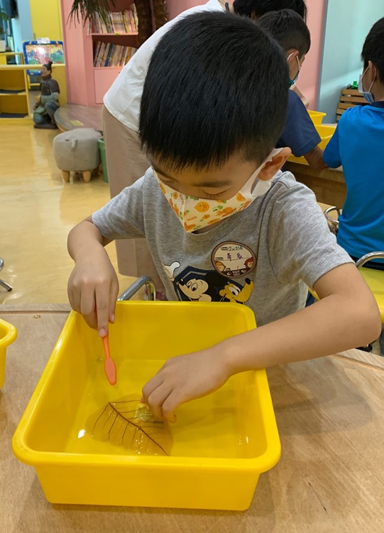 幼兒園：綠葉仙蹤(7/14-15)-圖片33
