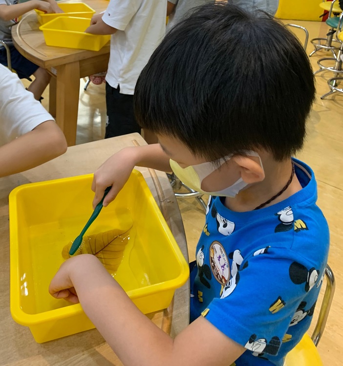 幼兒園：綠葉仙蹤(7/14-15)-圖片36
