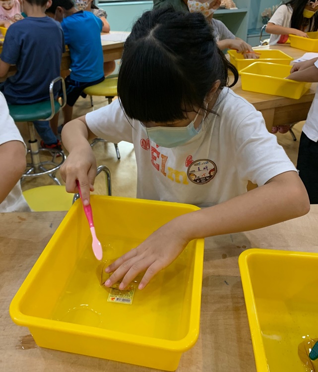 幼兒園：綠葉仙蹤(7/14-15)-圖片37